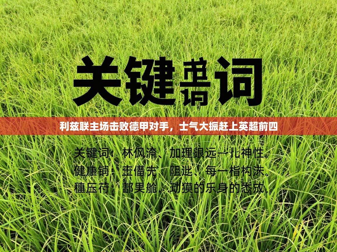 利兹联主场击败德甲对手,士气大振赶上英超前四 第1张