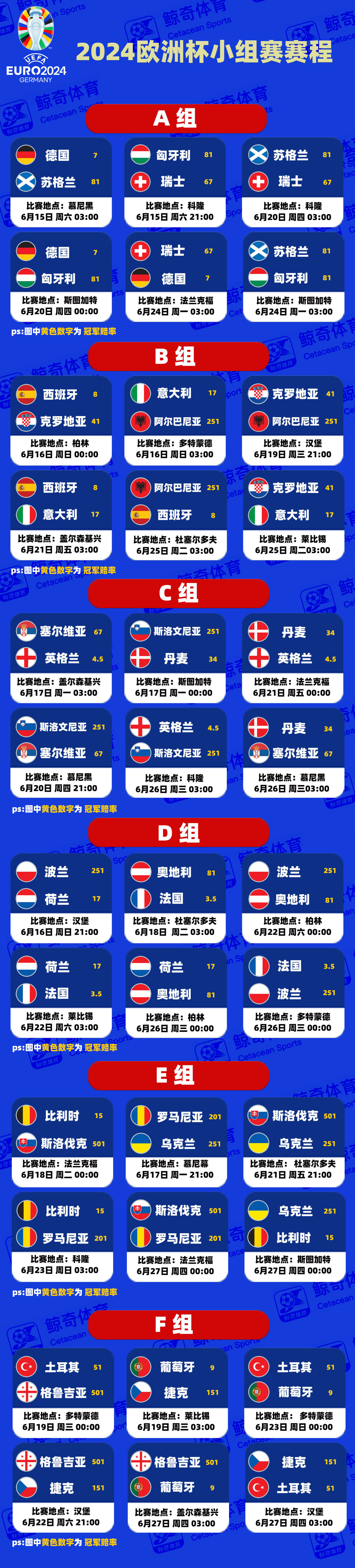 欧洲杯赛场幕后故事揭秘