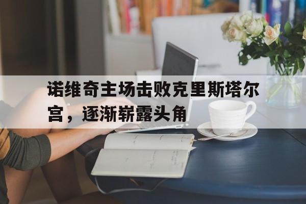 诺维奇主场击败克里斯塔尔宫，逐渐崭露头角的简单介绍