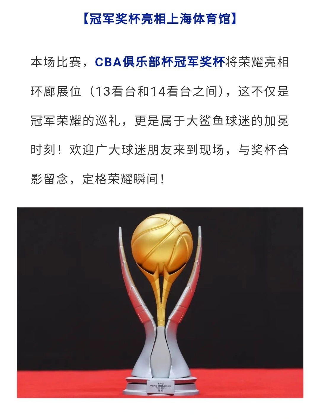 摘取赛季最佳球员奖杯，荣耀加身的简单介绍