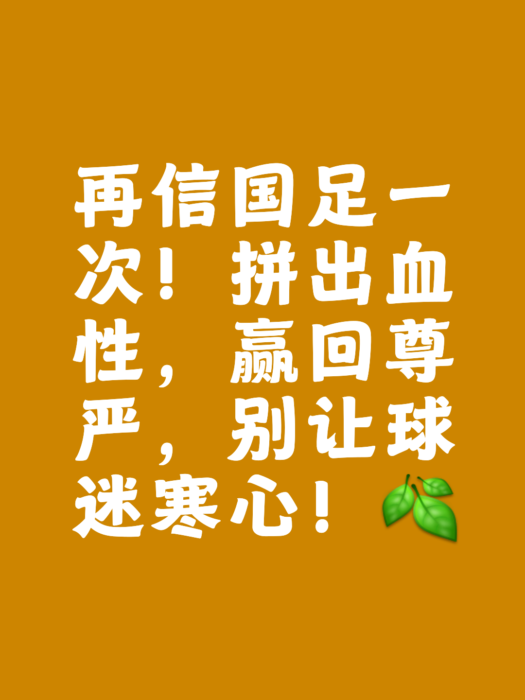 坚持到底，队员全力以赴争夺胜利的简单介绍