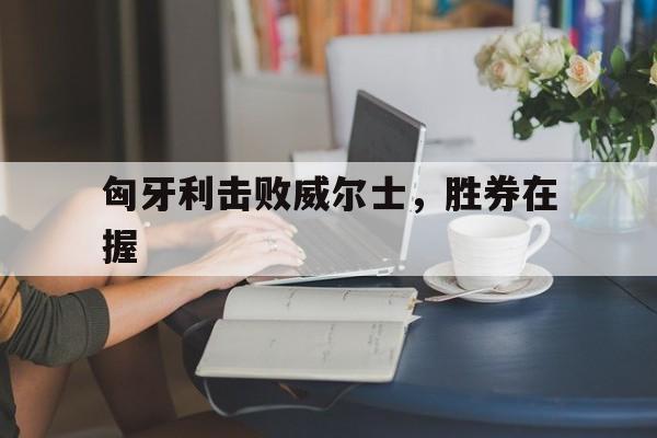 九游体育app下载-匈牙利击败威尔士，胜券在握的简单介绍